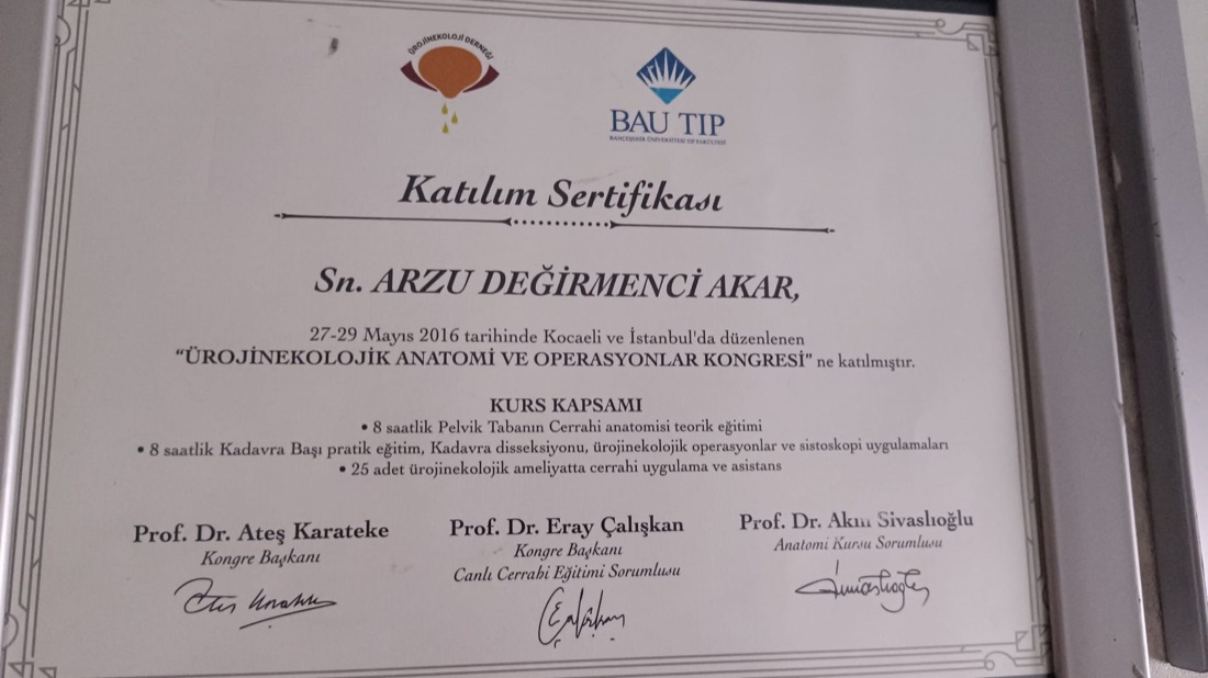 Ürojinekolojik Anatomi ve Operasyonlar Kursu