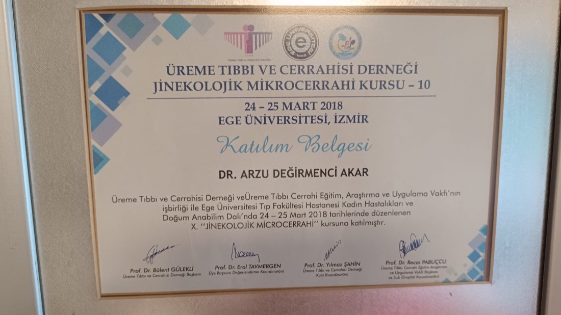 Jinekolojik Mikrocerrahi Kursu