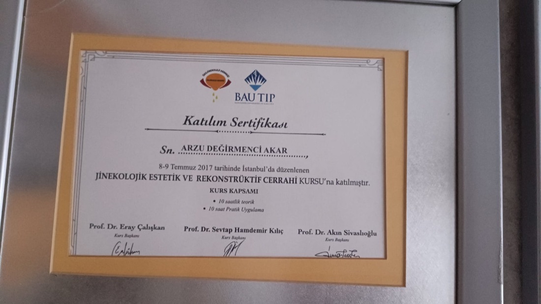 Jinekolojik Estetik ve Rekonstrüktif Cerrahi Kursu