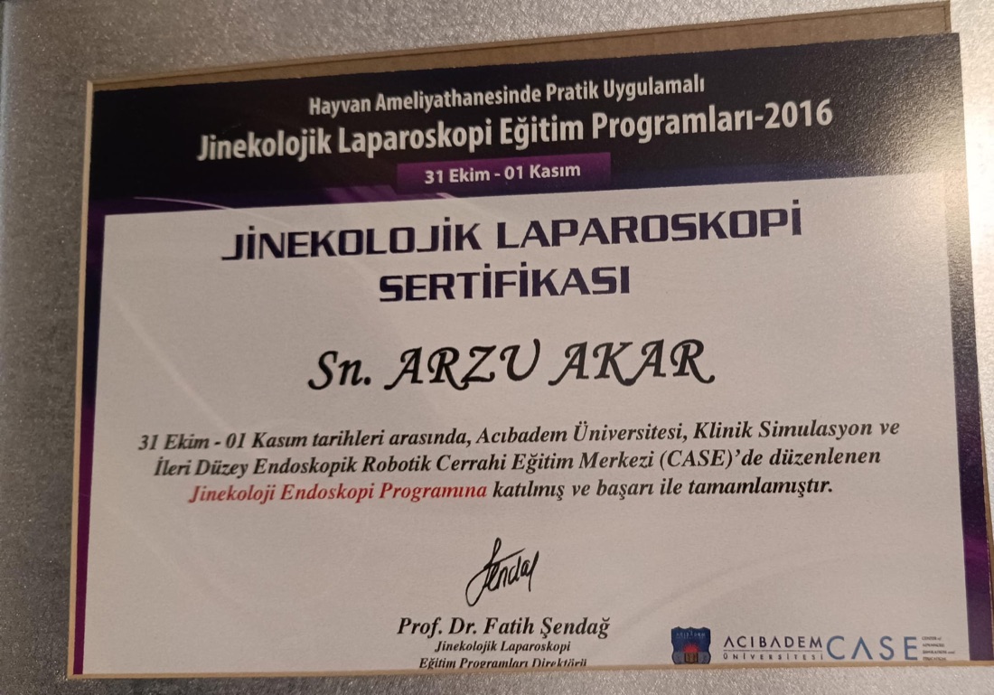 Jinekolojik Laparoskopi Eğitim Programı