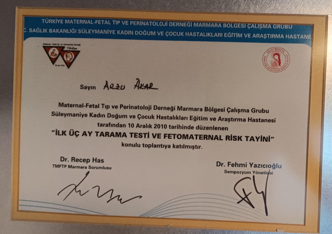 İlk Üç Ay Tarama Testi ve Fetomaternal Risk Tayini