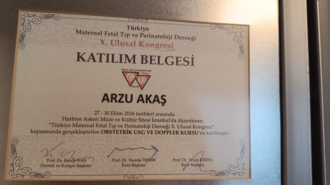 Obstetrik USG ve Doppler Kursu
