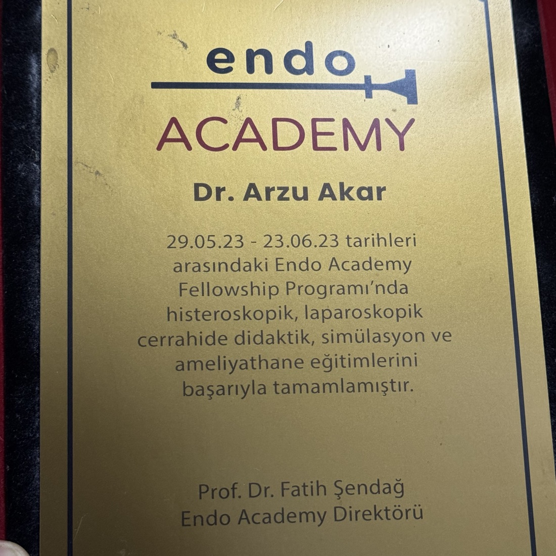 Endo Academy Fellowship Programı
